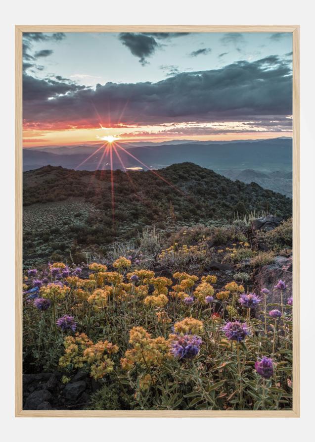 Bildverkstad Beautiful Sunset Poster
