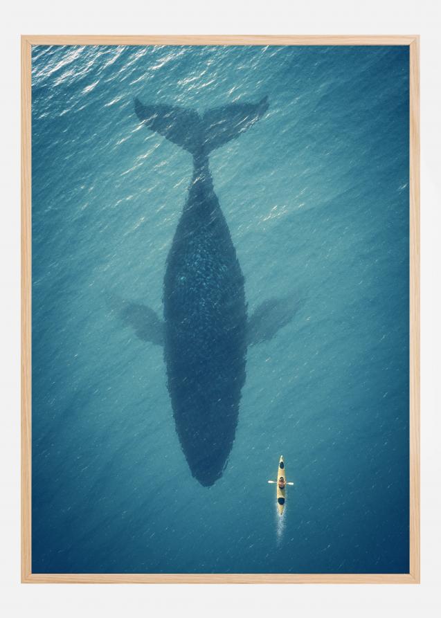 Bildverkstad A Big Whale Poster