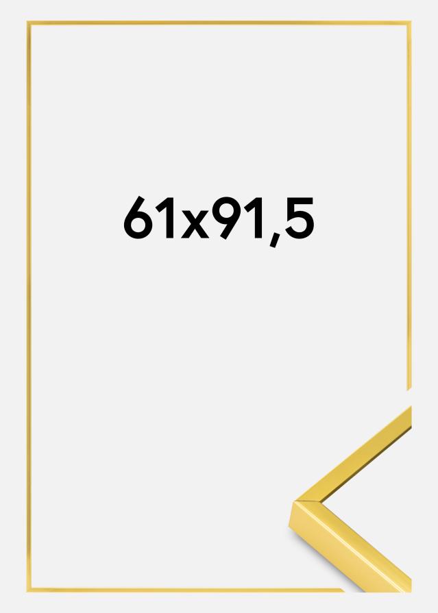 BGA Aluminiumrahmen Acrylglas Gold 61x91,5 cm