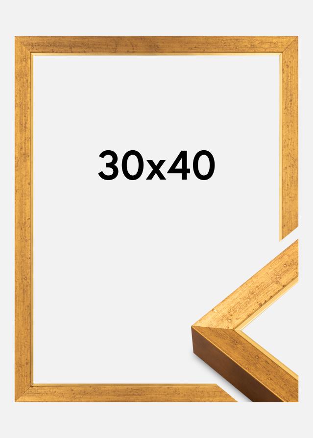 Jämtlands Ramfabrik Rahmen Brema Acrylglas Gold 30x40 cm