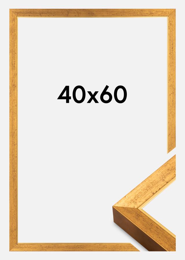 Jämtlands Ramfabrik Rahmen Brema Acrylglas Gold 40x60 cm