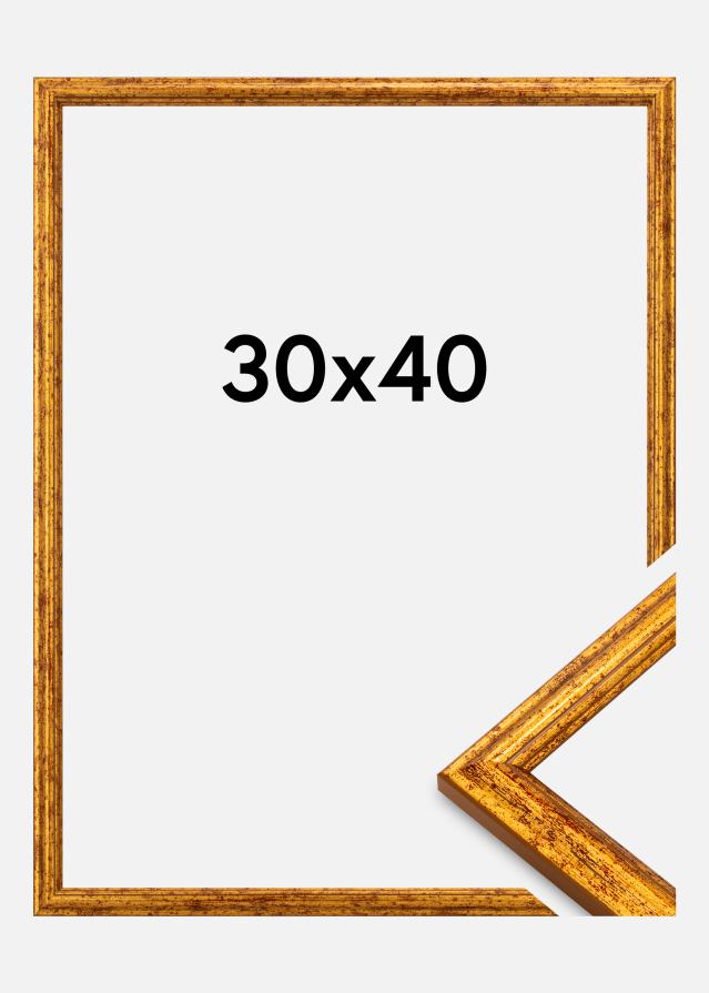 Jämtlands Ramfabrik Rahmen Claudia Acrylglas Gold 30x40 cm