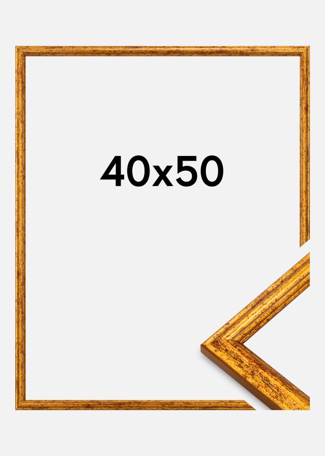 Jämtlands Ramfabrik Rahmen Claudia Acrylglas Gold 40x50 cm