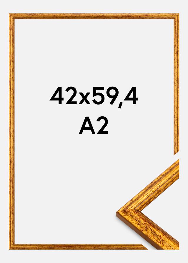Jämtlands Ramfabrik Rahmen Claudia Acrylglas Gold 42x59,4 cm (A2)