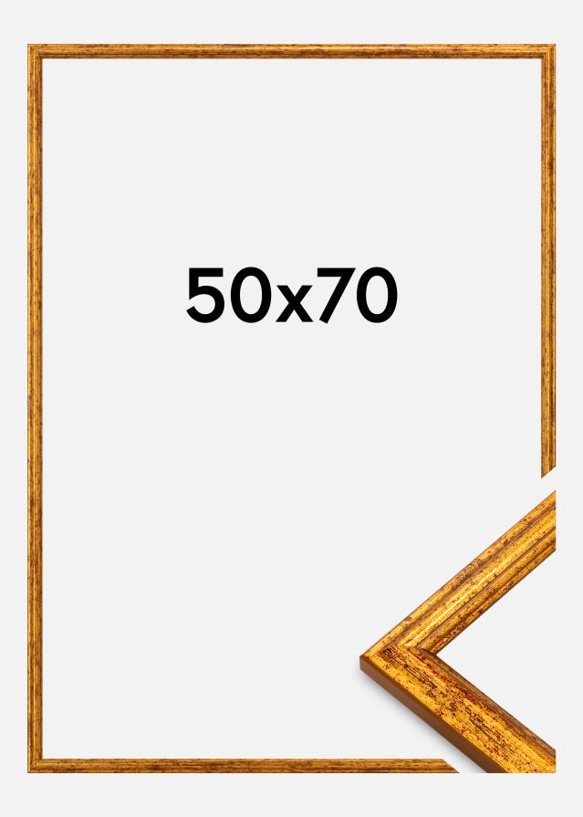 Jämtlands Ramfabrik Rahmen Claudia Acrylglas Gold 50x70 cm.