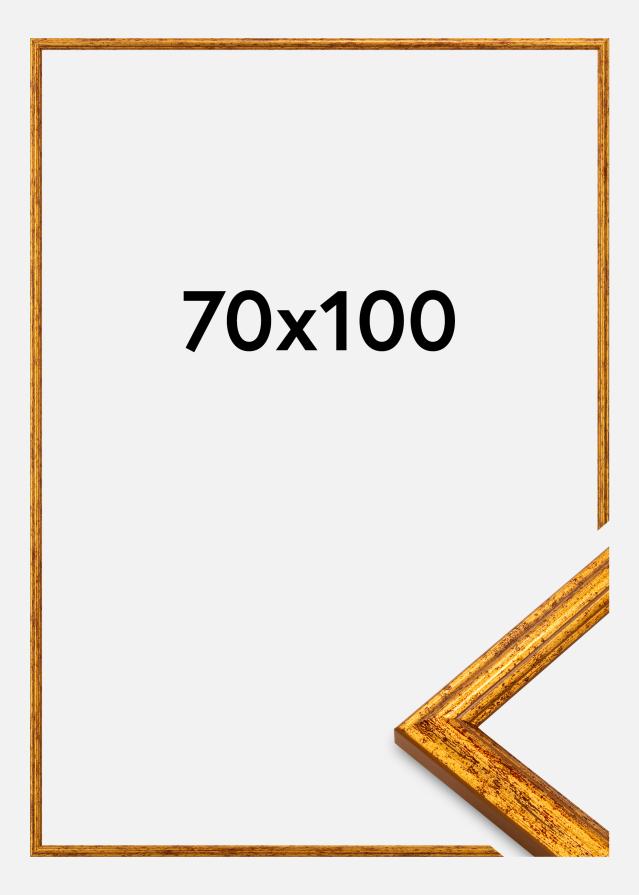 Jämtlands Ramfabrik Rahmen Claudia Acrylglas Gold 70x100 cm