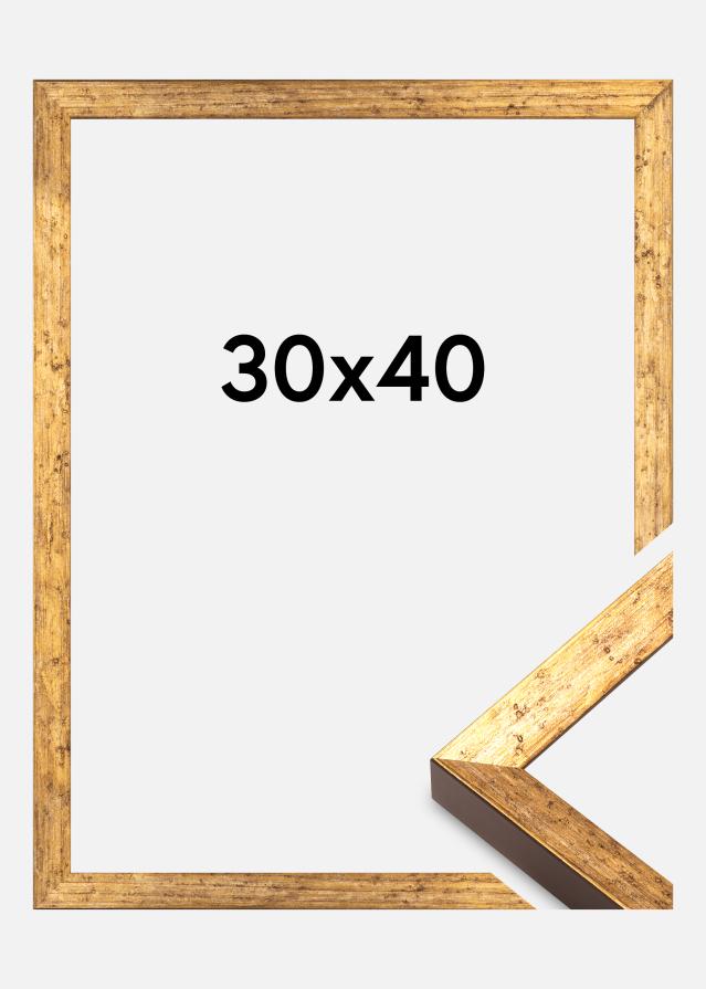 Jämtlands Ramfabrik Rahmen Dune Acrylglas Gold 30x40 cm