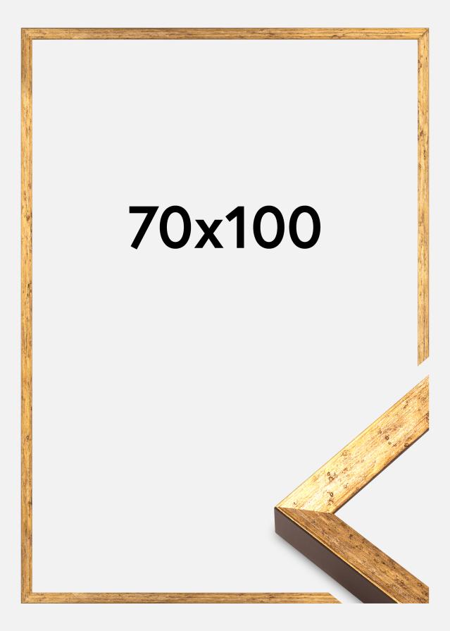 Jämtlands Ramfabrik Rahmen Dune Acrylglas Gold 70x100 cm
