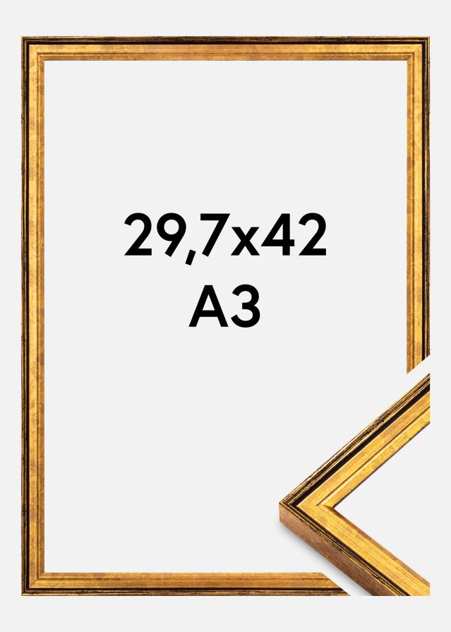 Jämtlands Ramfabrik Rahmen Ringa Acrylglas Gold 29,7x42 cm (A3)