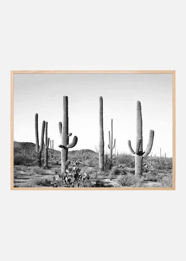 Bildverkstad Grey Cactus Land Poster