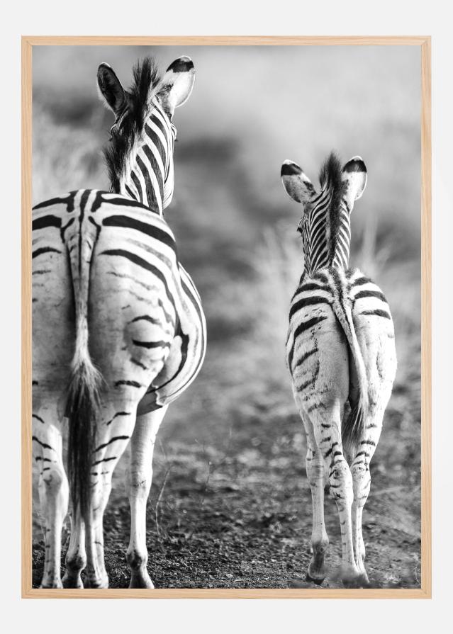 Bildverkstad Striped Horse Back Side Poster