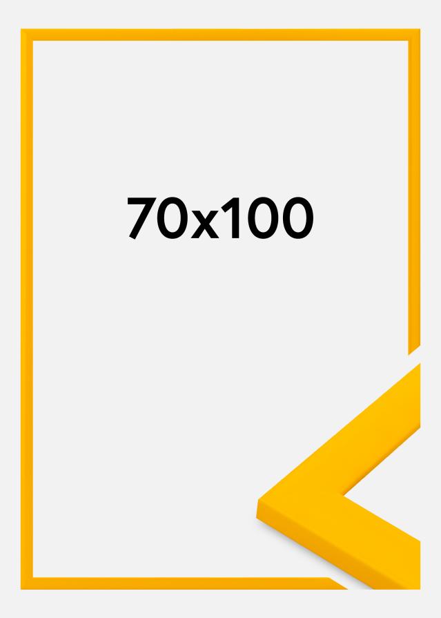 Jämtlands Ramfabrik Rahmen Dorset Acrylglas Gold 70x100 cm