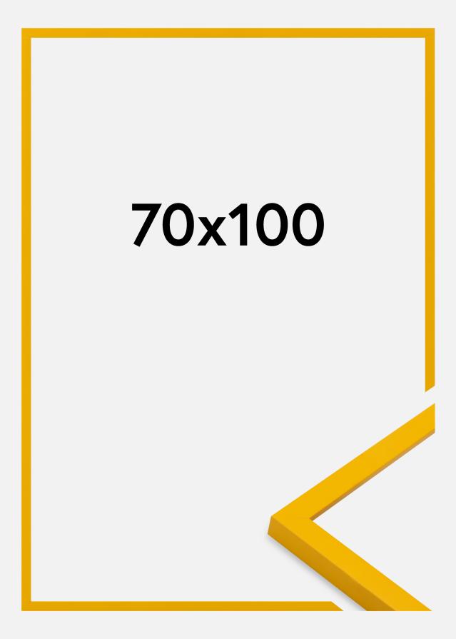 Jämtlands Ramfabrik Rahmen Kent Acrylglas Gold 70x100 cm