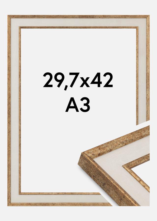 Jämtlands Ramfabrik Rahmen Dolly Acrylglas Gold 29,7x42 cm (A3)