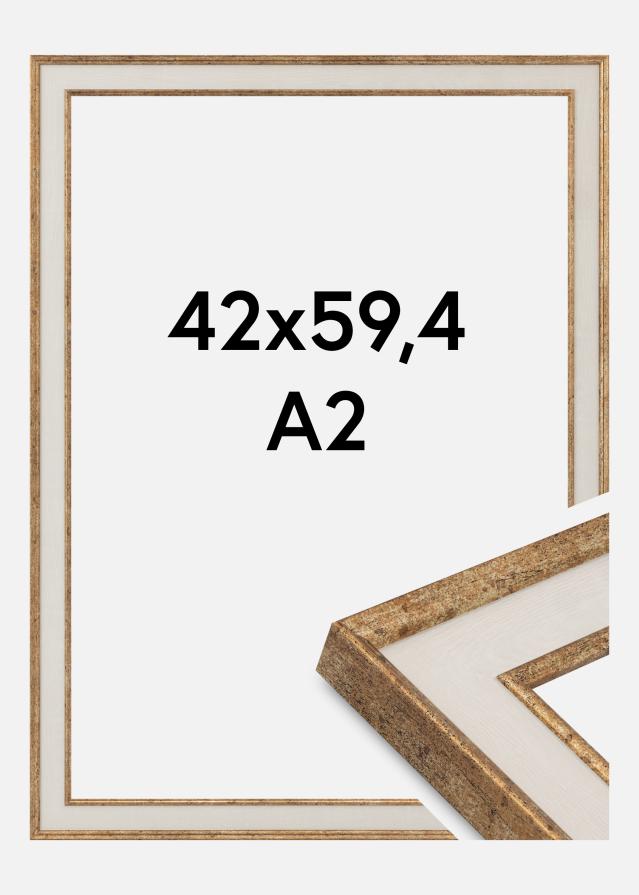 Jämtlands Ramfabrik Rahmen Dolly Acrylglas Gold 42x59,4 cm (A2)