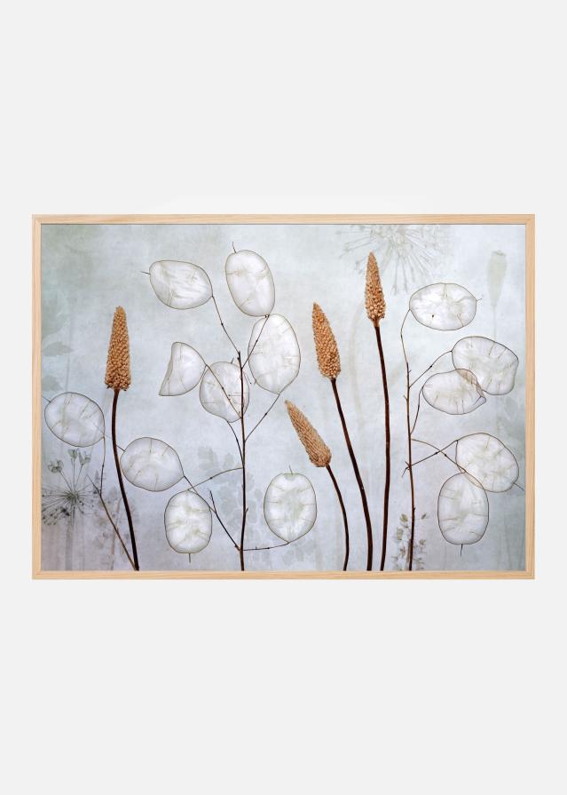 Bildverkstad Lunaria Poster