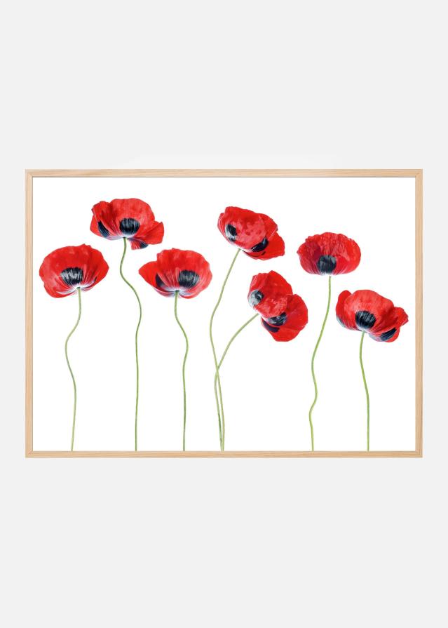 Bildverkstad Ladybird Poppies Poster