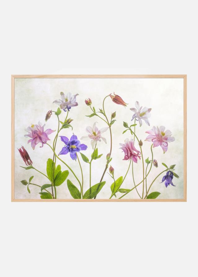 Bildverkstad Columbine Poster