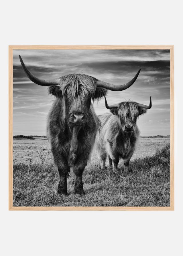 Bildverkstad Highlands Poster