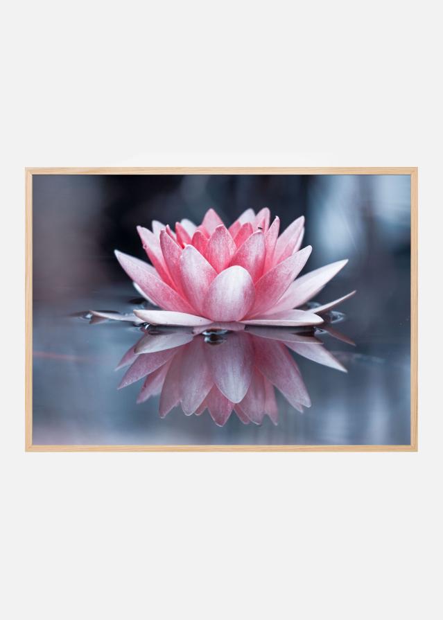 Bildverkstad Padmasana Poster