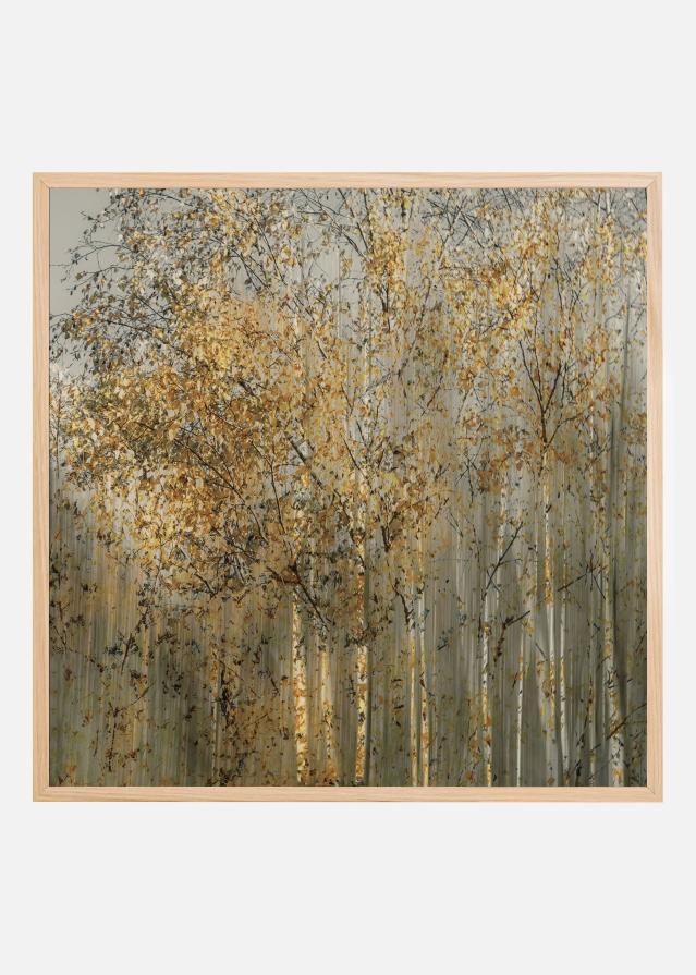 Bildverkstad Birch impression Poster