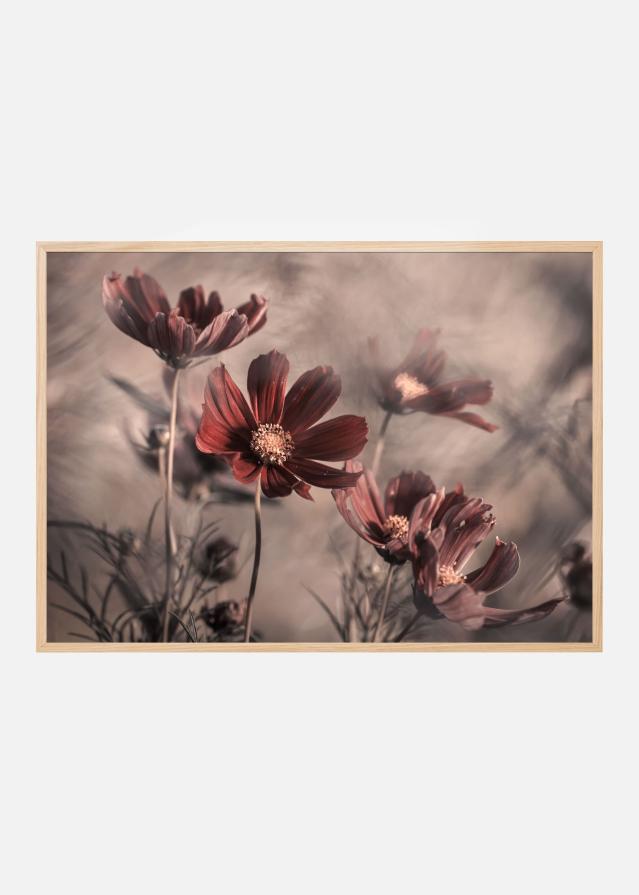 Bildverkstad Cosmos 2019 Poster