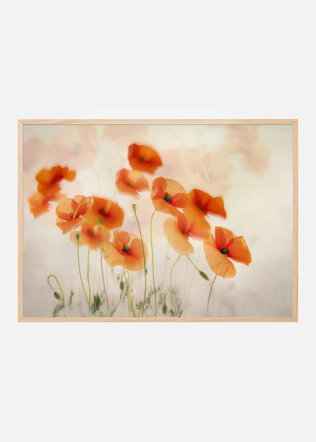 Bildverkstad Waving in the wind Poster