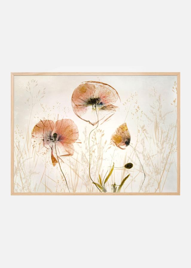 Bildverkstad Light and soft Poster