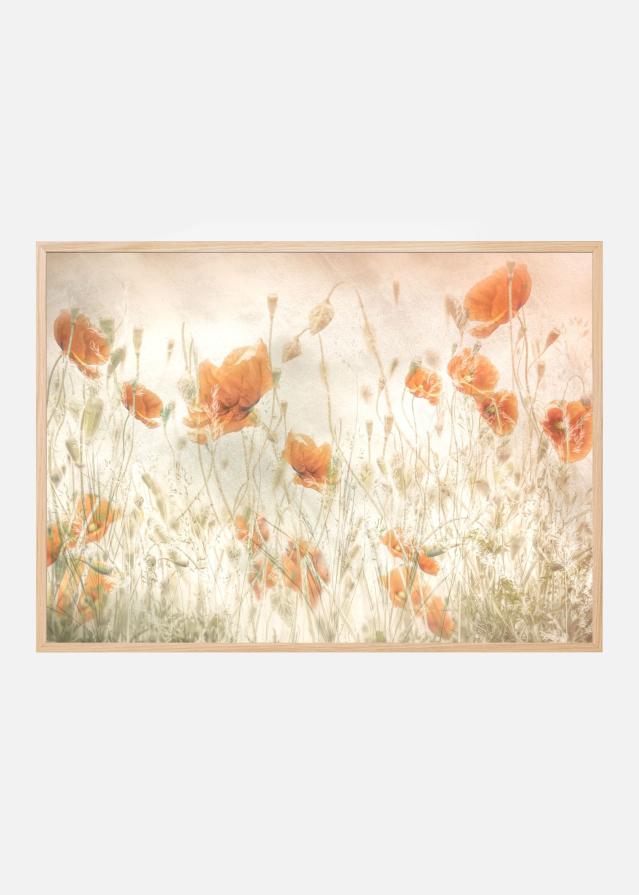 Bildverkstad Poppies in the field Poster