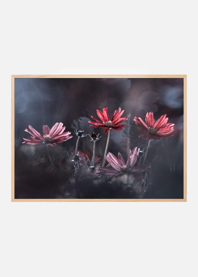 Bildverkstad Les fleurs du Bien Poster