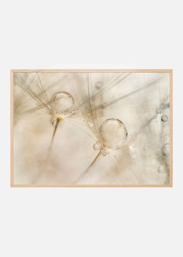 Bildverkstad Watercolors Poster