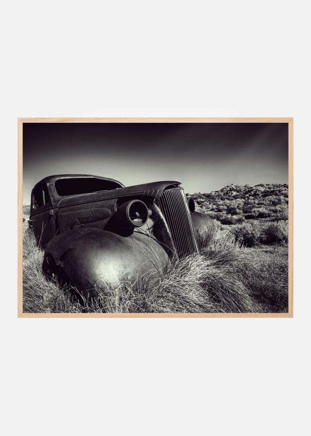 Bildverkstad Disposed Poster