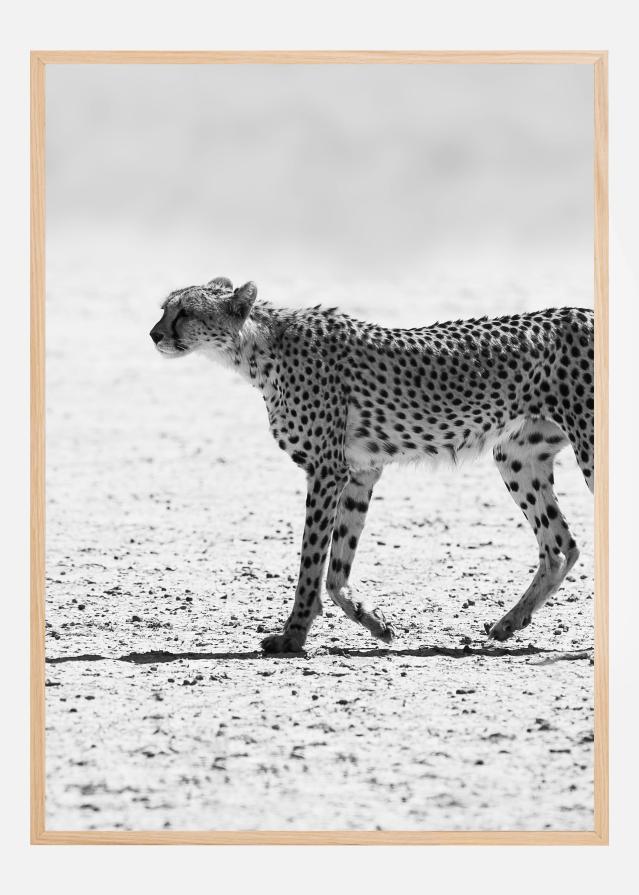 Bildverkstad Silent Pursuit Poster