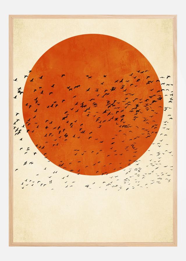 Bildverkstad Birds In the Sun Poster