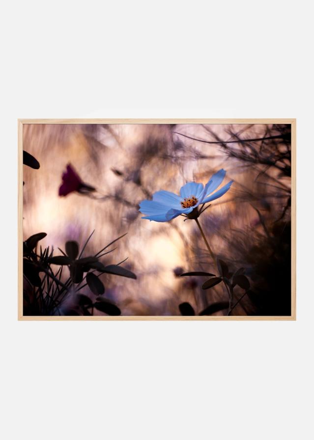 Bildverkstad L’Indifférence Poster