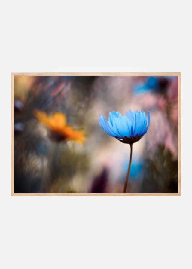 Bildverkstad Do you wanna dance with me Poster