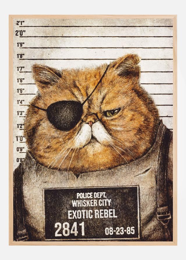 Bildverkstad Funny Cat Poster