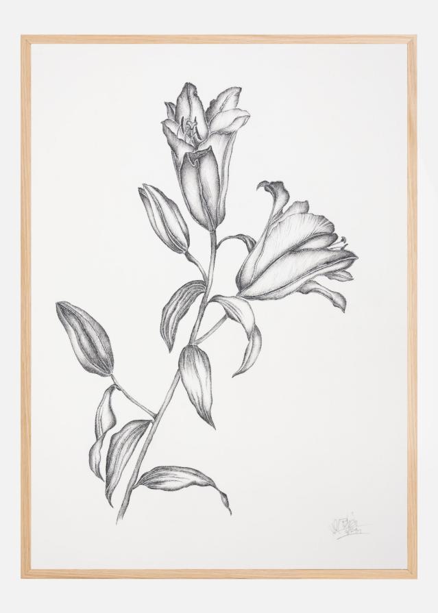 Bildverkstad Where Have All the Flowers Gone V Poster