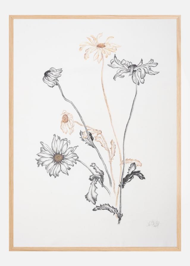 Bildverkstad Where Have All the Flowers Gone Poster