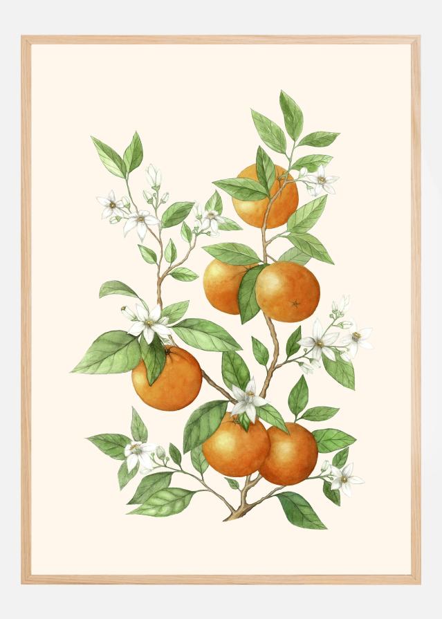 Bildverkstad Laranja - Orange Fruit Poster