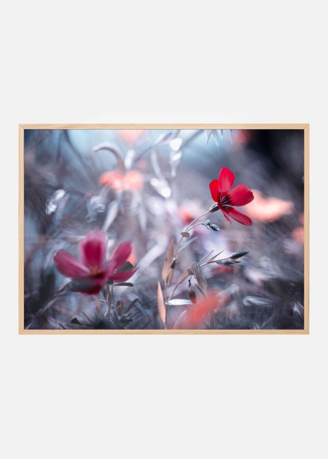 Bildverkstad Une Fleur Poster
