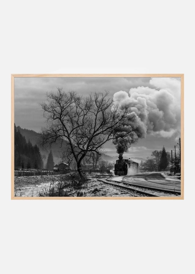 Bildverkstad Mocanita Hutulca Poster