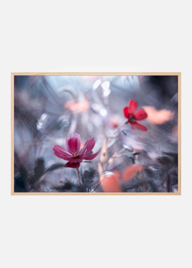 Bildverkstad Une autre fleur Poster