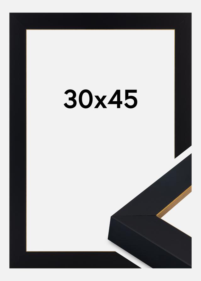 Jämtlands Ramfabrik Rahmen Sussex Acrylglas Schwarz/Gold 30x45 cm