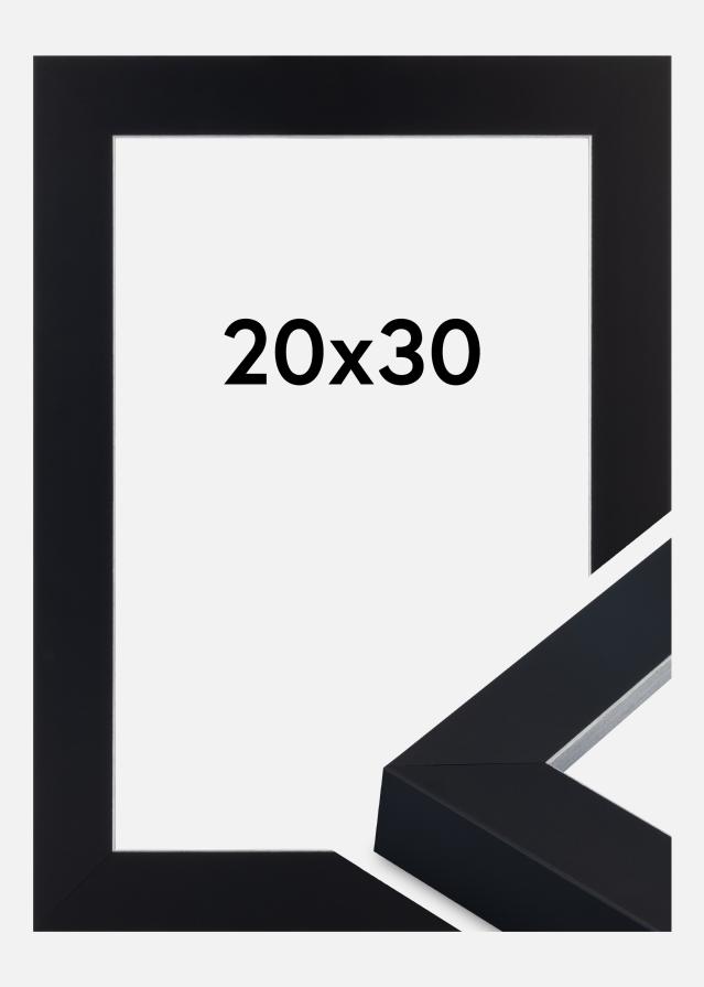 Jämtlands Ramfabrik Rahmen Sussex Acrylglas Schwarz/Silber 20x30 cm