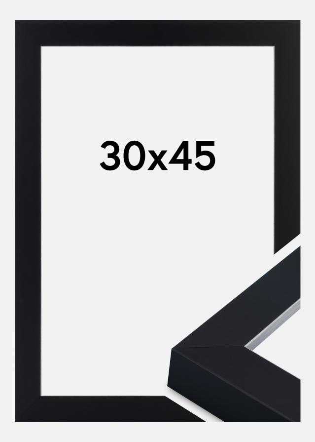 Jämtlands Ramfabrik Rahmen Sussex Acrylglas Schwarz/Silber 30x45 cm