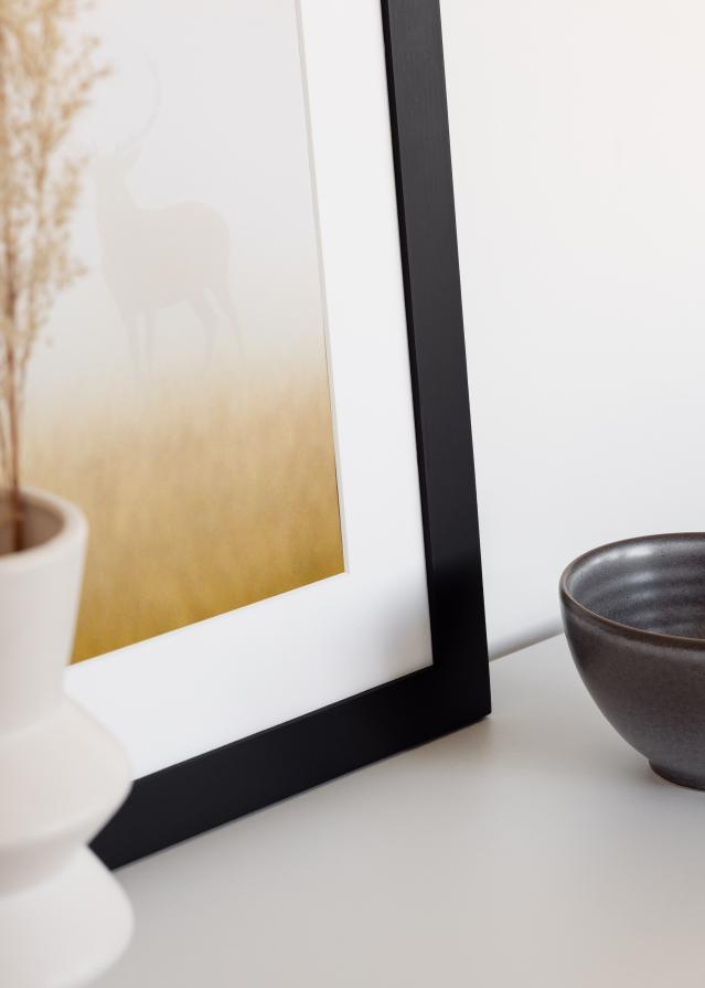 BGA BGA Select Wide Acrylglas Schwarz 42x59,4 cm (A2)