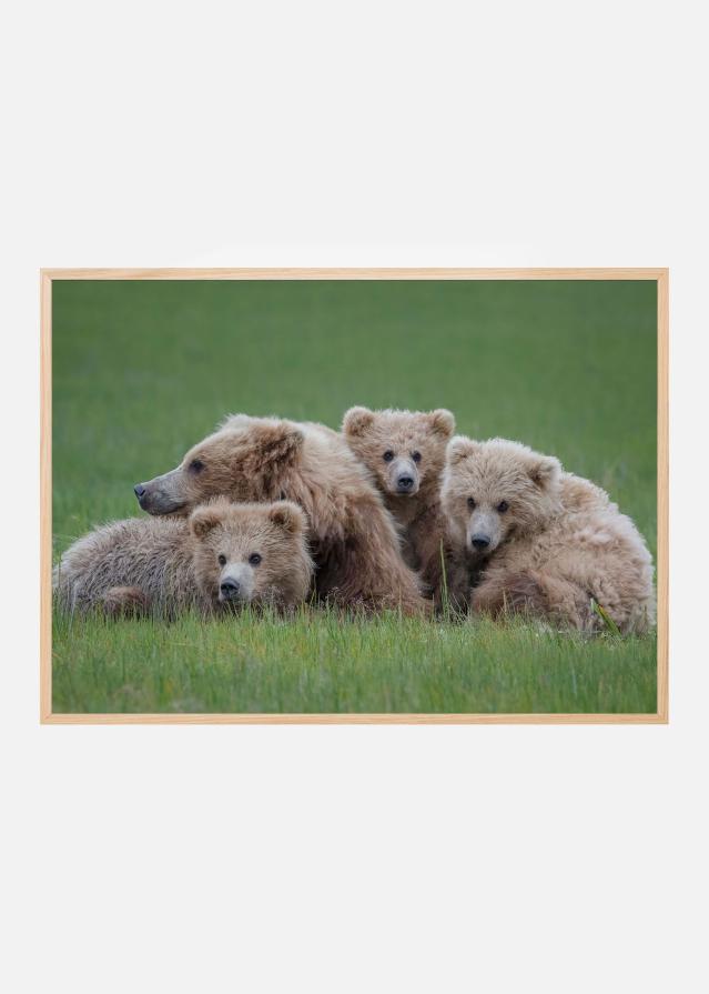 Bildverkstad Bear Huddle Poster