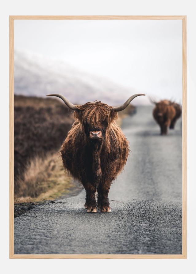 Bildverkstad Cow Poster