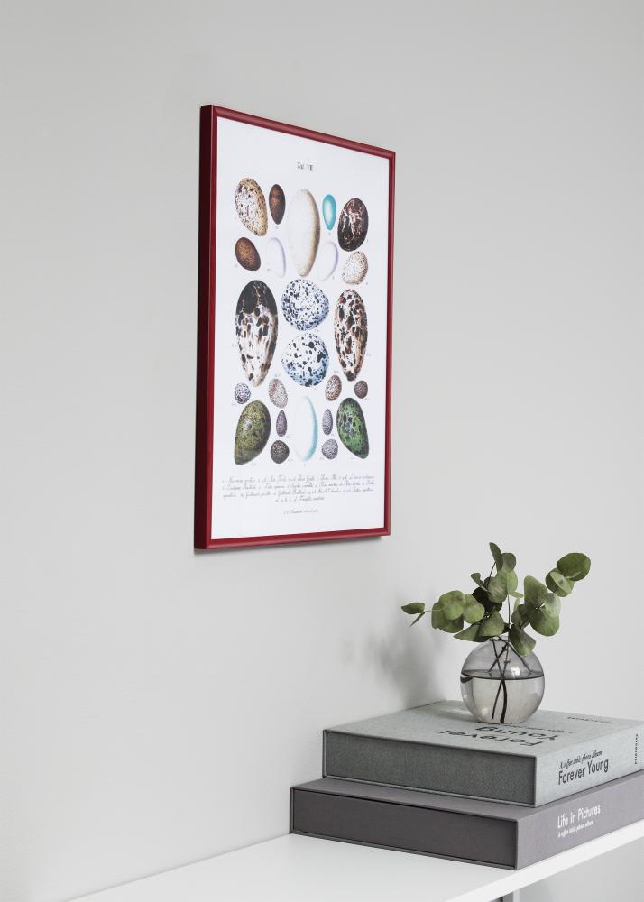 Ram med passepartou Rahmen New Lifestyle Rot 70x100 cm - Passepartout Weiß 50x85 cm